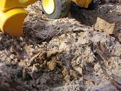 Sandbox!